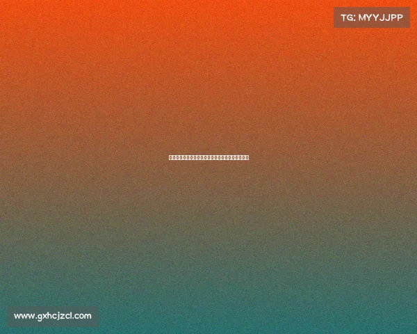 足球转会合同中的关键条款解析与背后影响因素探讨